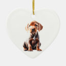 Pesquisar por vizsla ornamentos Inverno