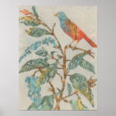 Pesquisar por animais domésticos pôsteres pósteres Aviários