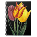 Pesquisar por pierre joseph cadernos de notas Redoute de p j