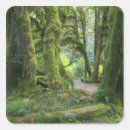 Pesquisar por olimpíada adesivos Eua