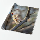 Pesquisar por flor japonesa papel de presente Para todos