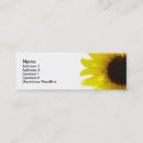 Pesquisar por girassóis cartao de visita Girassol amarelo