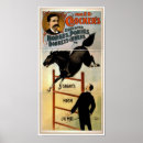 Pesquisar por burro pôsteres pósteres Cavalo