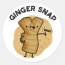 Pesquisar por snap adesivos Gengibre