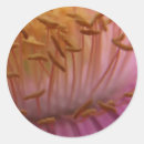 Pesquisar por pólen adesivos Botânica