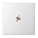 Pesquisar por os joaninhas azulejos Jardim