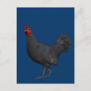 Pesquisar por criador cartoes postais Orgulho