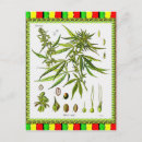 Pesquisar por rasta cartoes postais Reggae