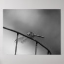 Pesquisar por decoração da libélula pôsteres pósteres Para ela