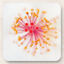 Pesquisar por hibiscus porta copos Flores