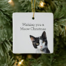 Pesquisar por gatinho preto ornamentos Animal