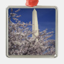 Pesquisar por flor de cerejeira ornamentos Ponto turístico