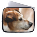 Pesquisar por dog capas Jack russell terrier