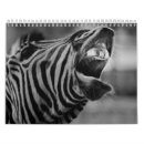 Pesquisar por zebra calendarios Animal