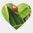 Pesquisar por ladybird adesivos Vermelho