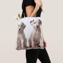 Pesquisar por dalmatian Animais de estimação
