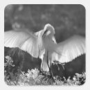 Pesquisar por infravermelho adesivos Artístico