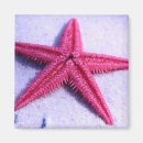 Pesquisar por continente imas Animal