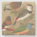 Pesquisar por bar da música porta copos Colorido