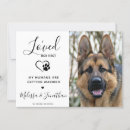Pesquisar por cachorro casamento convites Para eles