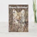 Pesquisar por predador cartoes Fotografia da natureza