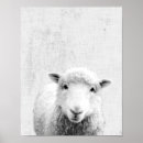 Pesquisar por kids animal fotografia Qualquer crinaça