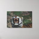 Pesquisar por raiva impressão de canvas Animal