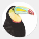 Pesquisar por pássaros adesivos Aquarela