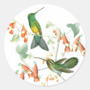Pesquisar por colibri adesivos Animais
