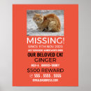 Pesquisar por animais estimação pôsteres pósteres Qualquer pessoa