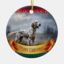 Pesquisar por setter inglês Natal