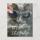 Pesquisar por gato engraçado do gatinho cartoes Feliz aniversário