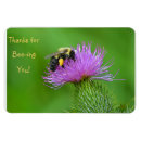 Pesquisar por ímã da amizade imas Amigo