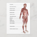 Pesquisar por diagrama cartoes postais Corpo