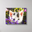 Pesquisar por gatos bonitos impressão de canvas Para ela