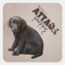 Pesquisar por labrador retriever adesivos Cachorrinhos
