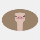 Pesquisar por avestruz adesivos Animal