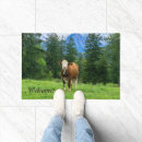 Pesquisar por vaca das montanhas fotografia Animal