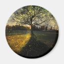 Pesquisar por paisagem mágica imas Natureza