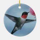 Pesquisar por colibris ornamentos Natal