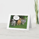 Pesquisar por aluguel cartoes Qualquer pessoa