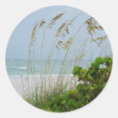 Pesquisar por anna adesivos Praia