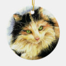 Pesquisar por calico ornamentos Aquarela