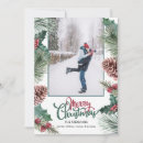 Pesquisar por branch cartoes Pine cone