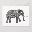 Pesquisar por zen cartoes postais Elefante