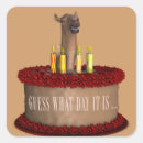 Pesquisar por camelo engraçado adesivos Humor