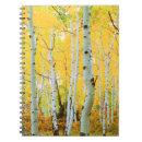 Pesquisar por aspen cadernos de notas America