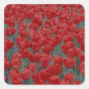 Pesquisar por cama de flores adesivos Jardim