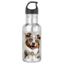 Pesquisar por australiano garrafa agua Cães