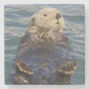 Pesquisar por lontras porta copos Alaska